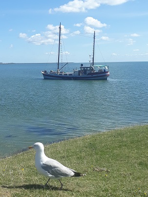 zicht op de Dellewal Terschelling